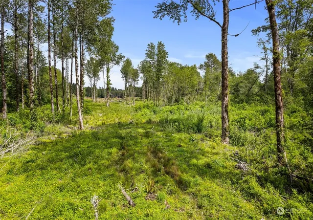 Photo 1 of Land for sale at 70 Joy Ln #Lot 7, Hoquiam, WA 98550 | MLS# NWM2237570 | Listing updated on 2026-09-17