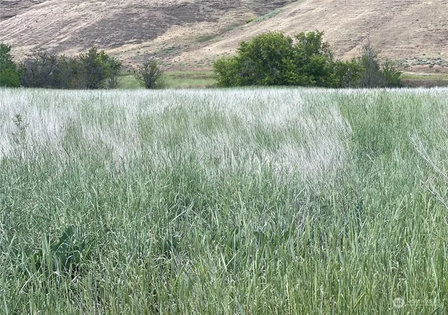 Photo 1 of Land for sale at 0 Kellogg Holw Rd, Dayton, WA 99328 | MLS# NWM2237579 | Listing updated on 2026-09-17
