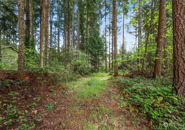 Photo 2 of Land for sale at 22206 Bluewater Dr Se, Yelm, WA 98597 | MLS# NWM2240597 | Listing updated on 2026-09-17