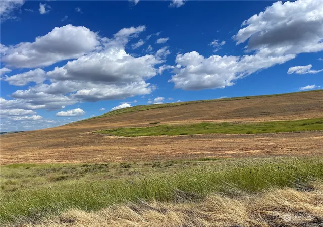 Photo 3 of Land for sale at 0 Powers Rd, Dayton, WA 99328 | MLS# NWM2241304 | Listing updated on 2026-09-17