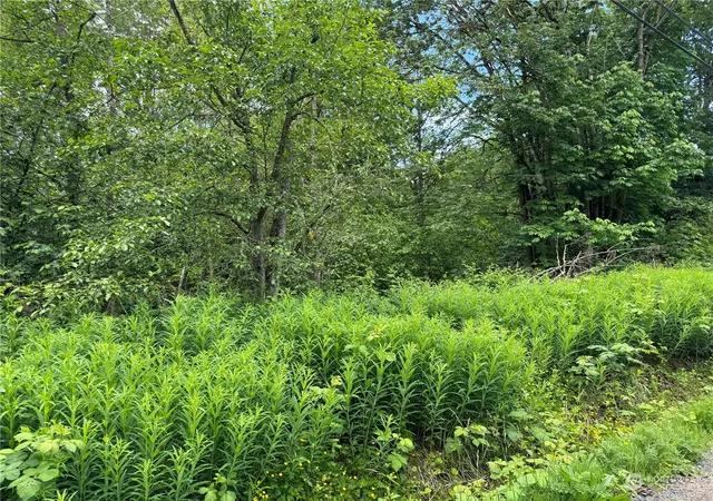 Photo 3 of Land for sale at 1410 169th Place Sw, Lynnwood, WA 98037 | MLS# NWM2245671 | Listing updated on 2026-09-17