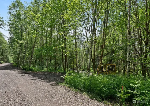 Photo 3 of Land for sale at 162 Owl Crk Ln, Morton, WA 98356 | MLS# NWM2245991 | Listing updated on 2026-09-17