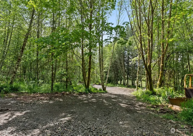 Photo 4 of Land for sale at 162 Owl Crk Ln, Morton, WA 98356 | MLS# NWM2245991 | Listing updated on 2026-09-17