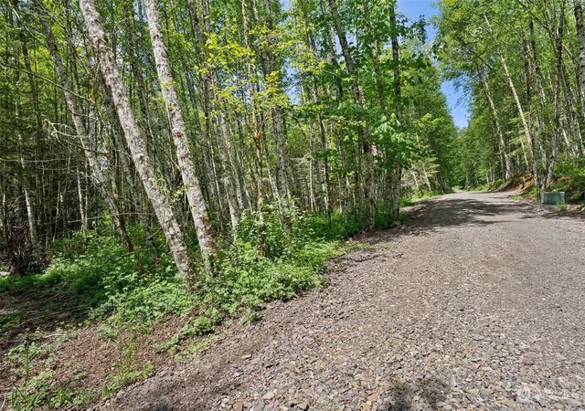 Photo 1 of Land for sale at 178 Owl Crk Ln, Morton, WA 98356 | MLS# NWM2246041 | Listing updated on 2026-09-17