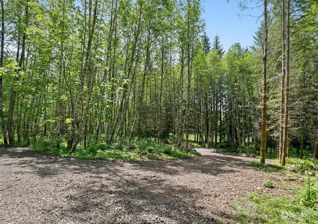 Photo 2 of Land for sale at 178 Owl Crk Ln, Morton, WA 98356 | MLS# NWM2246041 | Listing updated on 2026-09-17