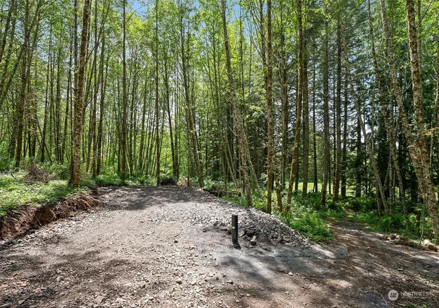 Photo 3 of Land for sale at 178 Owl Crk Ln, Morton, WA 98356 | MLS# NWM2246041 | Listing updated on 2026-09-17