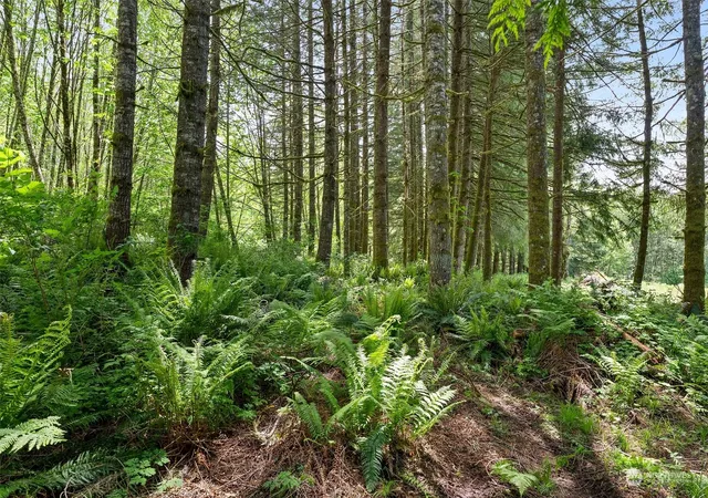 Photo 3 of Land for sale at 178 Owl Crk Ln, Morton, WA 98356 | MLS# NWM2246041 | Listing updated on 2026-09-17