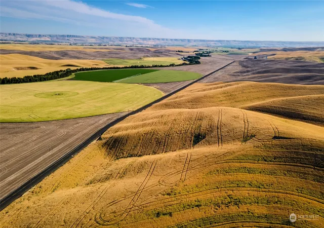 Photo 1 of Land for sale at 1 Lot Tbd Loney Rd, Walla Walla, WA 99362 | MLS# NWM2253828 | Listing updated on 2026-09-17