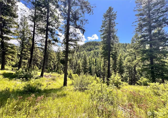 Photo 1 of Land for sale at 0 Tbd Old Kettle Fls Rd, Republic, WA 99166 | MLS# NWM2254362 | Listing updated on 2026-09-17