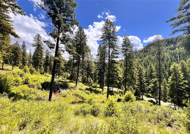 Photo 2 of Land for sale at 0 Tbd Old Kettle Fls Rd, Republic, WA 99166 | MLS# NWM2254362 | Listing updated on 2026-09-17