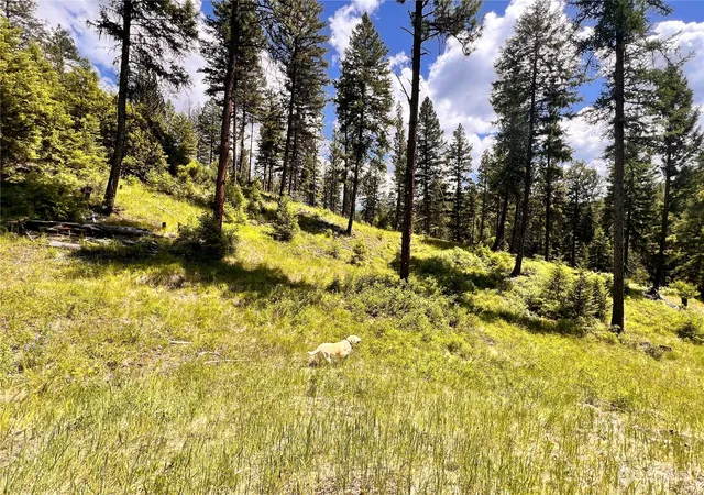 Photo 3 of Land for sale at 0 Tbd Old Kettle Fls Rd, Republic, WA 99166 | MLS# NWM2254362 | Listing updated on 2026-09-17