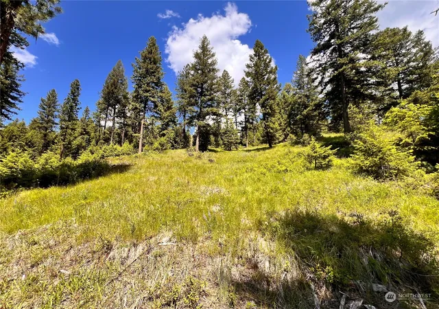 Photo 3 of Land for sale at 0 Tbd Old Kettle Fls Rd, Republic, WA 99166 | MLS# NWM2254362 | Listing updated on 2026-09-17