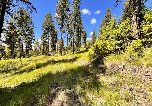 Photo 4 of Land for sale at 0 Tbd Old Kettle Fls Rd, Republic, WA 99166 | MLS# NWM2254362 | Listing updated on 2026-09-17