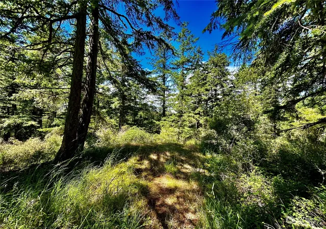 Photo 2 of Land for sale at 0 Salmonberry Ln, Friday Harbor, WA 98250 | MLS# NWM2258123 | Listing updated on 2026-09-17