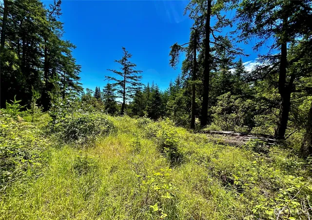 Photo 3 of Land for sale at 0 Salmonberry Ln, Friday Harbor, WA 98250 | MLS# NWM2258123 | Listing updated on 2026-09-17
