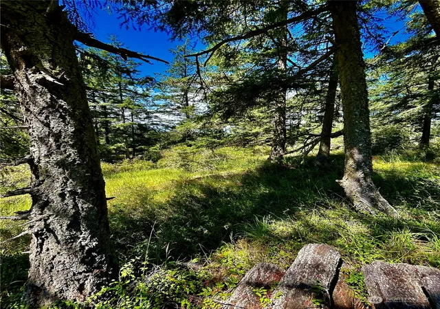 Photo 4 of Land for sale at 0 Salmonberry Ln, Friday Harbor, WA 98250 | MLS# NWM2258123 | Listing updated on 2026-09-17