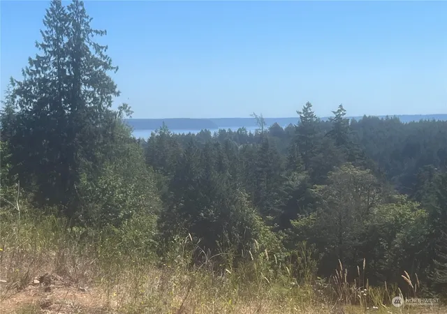 Photo 4 of Land for sale at 1 Xxxx Mt Jupiter Rd, Brinnon, WA 98320 | MLS# NWM2263119 | Listing updated on 2026-09-17
