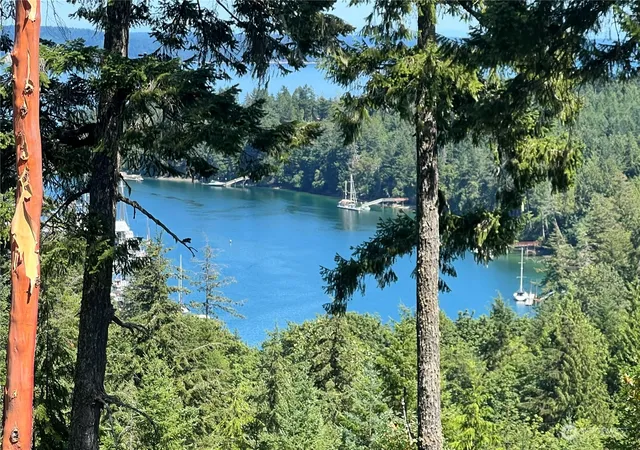 Photo 3 of Land for sale at 2 Xxxx Mt Jupiter Rd, Brinnon, WA 98376 | MLS# NWM2263197 | Listing updated on 2026-09-17