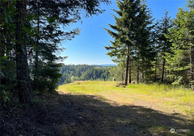 Photo 3 of Land for sale at 2 Xxxx Mt Jupiter Rd, Brinnon, WA 98376 | MLS# NWM2263197 | Listing updated on 2026-09-17