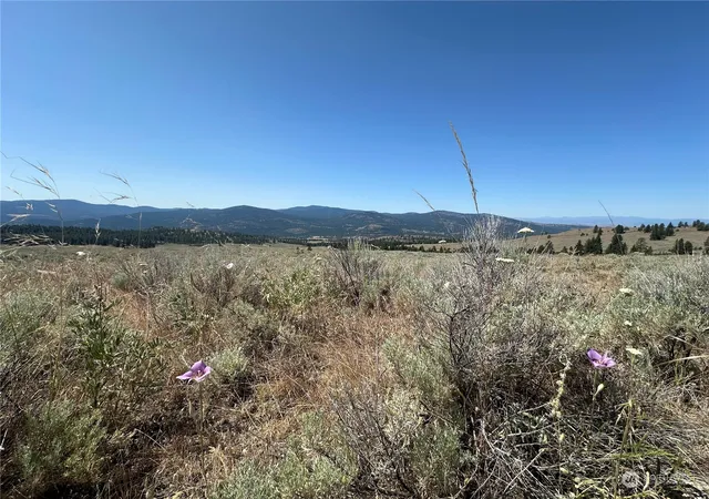 Photo 1 of Land for sale at 25 Harvest Moon Ln, Tonasket, WA 98855 | MLS# NWM2264508 | Listing updated on 2026-09-17
