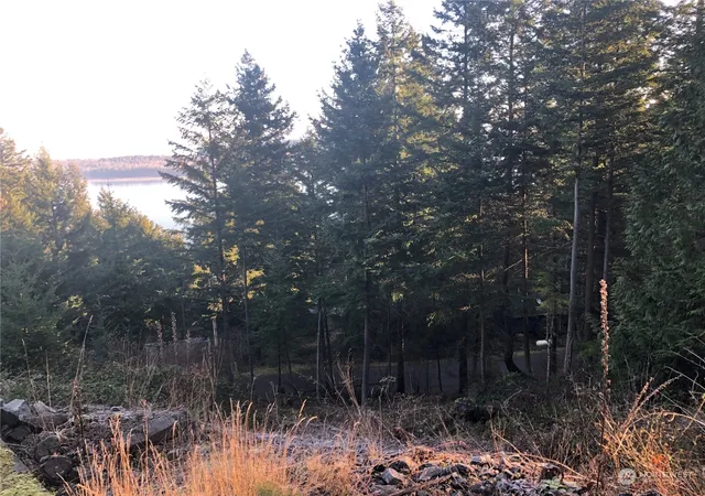 Photo 4 of Land for sale at 2948 Dogwood Ter, Lummi Island, WA 98262 | MLS# NWM2267909 | Listing updated on 2026-09-17