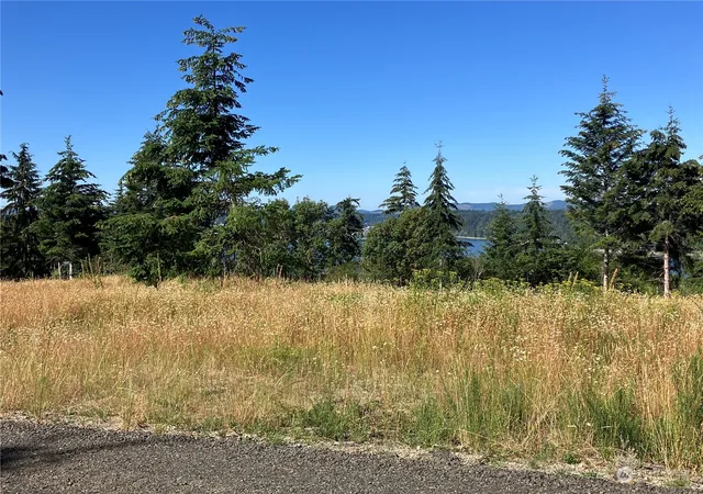 Photo 1 of Land for sale at 1 E Lone Fir Dr #Div 2, Shelton, WA 98584 | MLS# NWM2268205 | Listing updated on 2026-09-30