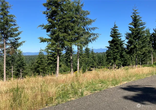 Photo 2 of Land for sale at 1 E Lone Fir Dr #Div 2, Shelton, WA 98584 | MLS# NWM2268205 | Listing updated on 2026-09-30