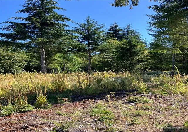 Photo 3 of Land for sale at 1 E Lone Fir Dr #Div 2, Shelton, WA 98584 | MLS# NWM2268205 | Listing updated on 2026-09-30