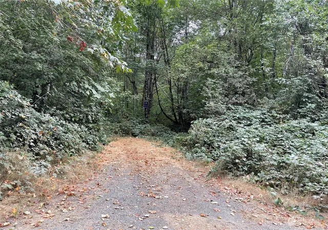 Photo 3 of Land for sale at 217 Xx Thompson Crk Rd, Tenino, WA 98589 | MLS# NWM2269470 | Listing updated on 2026-09-17