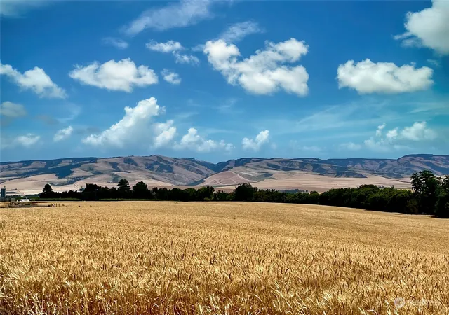 Photo 2 of Land for sale at 0 Lot 16 Stolen Horse Ct, Walla Walla, WA 99362 | MLS# NWM2270663 | Listing updated on 2026-09-17