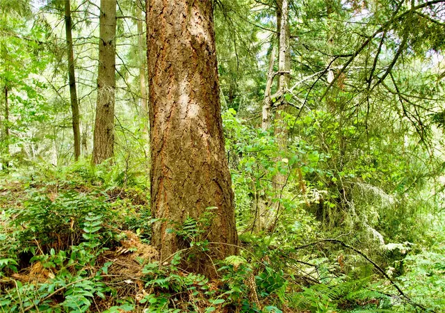 Photo 3 of Land for sale at 17233 State Route 410 W, Bonney Lake, WA 98391 | MLS# NWM2271498 | Listing updated on 2026-09-25