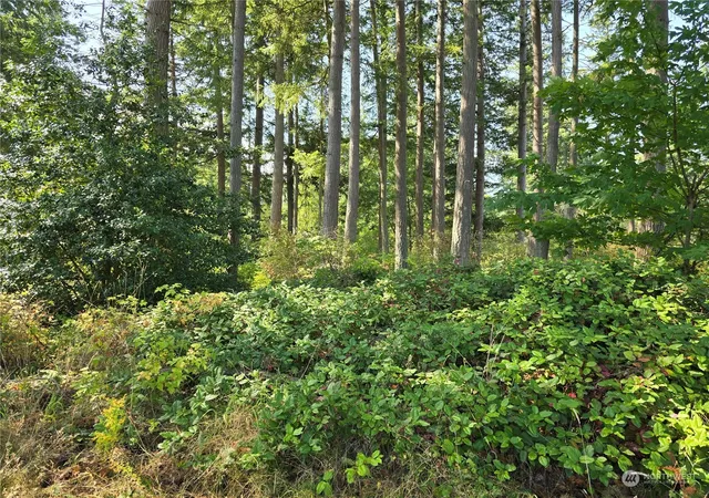 Photo 1 of Land for sale at 4081 Preserve Dr, Camano Island, WA 98282 | MLS# NWM2279365 | Listing updated on 2026-09-17