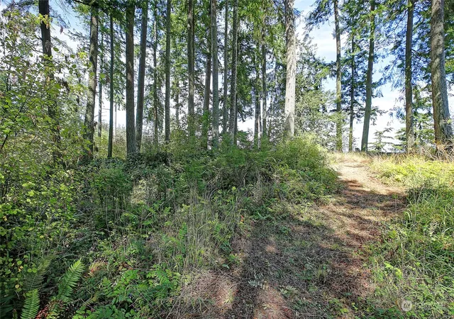 Photo 3 of Land for sale at 4081 Preserve Dr, Camano Island, WA 98282 | MLS# NWM2279365 | Listing updated on 2026-09-17