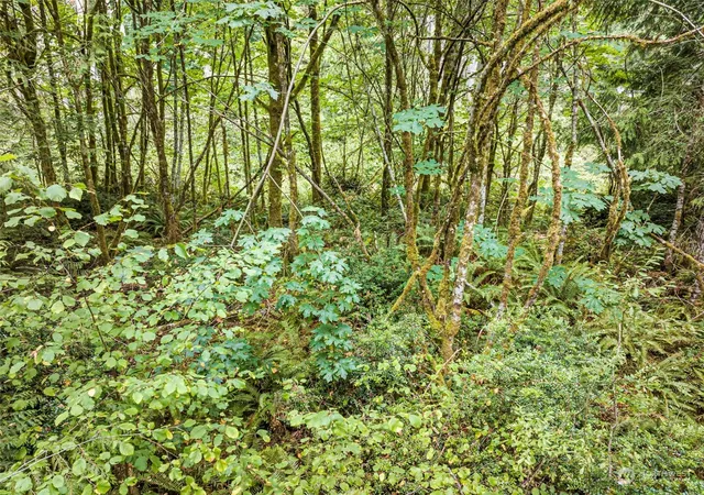 Land for sale at 0 Lackey Rd NW, Vaughn, WA 98394 | MLS# NWM2280366