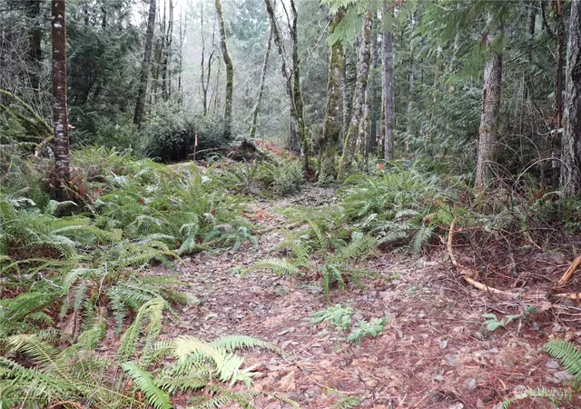Photo 2 of Land for sale at 0 Lackey Rd Nw, Vaughn, WA 98394 | MLS# NWM2280366 | Listing updated on 2026-09-17