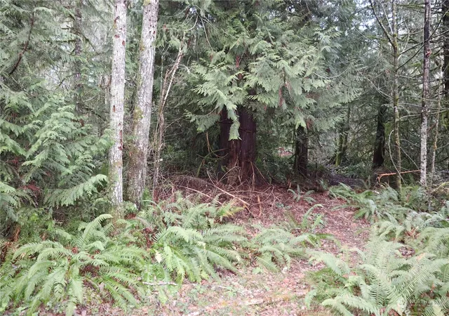 Photo 3 of Land for sale at 0 Lackey Rd Nw, Vaughn, WA 98394 | MLS# NWM2280366 | Listing updated on 2026-09-17