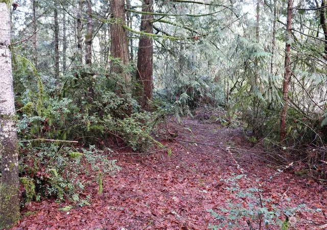 Photo 3 of Land for sale at 0 Lackey Rd NW, Vaughn, WA 98394 | MLS# NWM2280366 | Listing updated on 2026-09-17