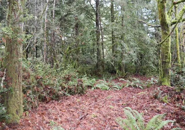Photo 4 of Land for sale at 0 Lackey Rd NW, Vaughn, WA 98394 | MLS# NWM2280366 | Listing updated on 2026-09-17