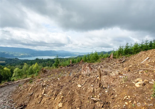 Photo 2 of Land for sale at 323 Short Rd, Morton, WA 98356 | MLS# NWM2283116 | Listing updated on 2026-09-17