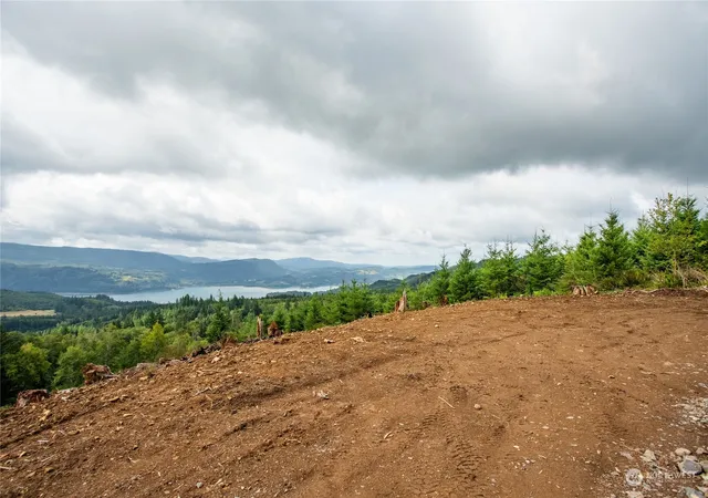 Photo 3 of Land for sale at 323 Short Rd, Morton, WA 98356 | MLS# NWM2283116 | Listing updated on 2026-09-17