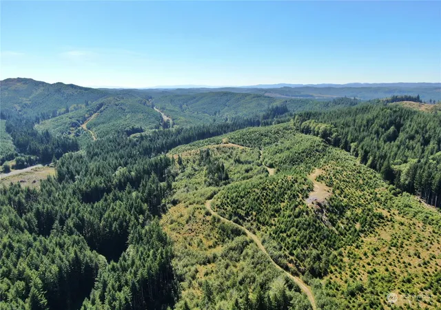 Land for sale at 0 Off Of Lund Rd, Cosmopolis, WA 98537 | MLS# NWM2284482