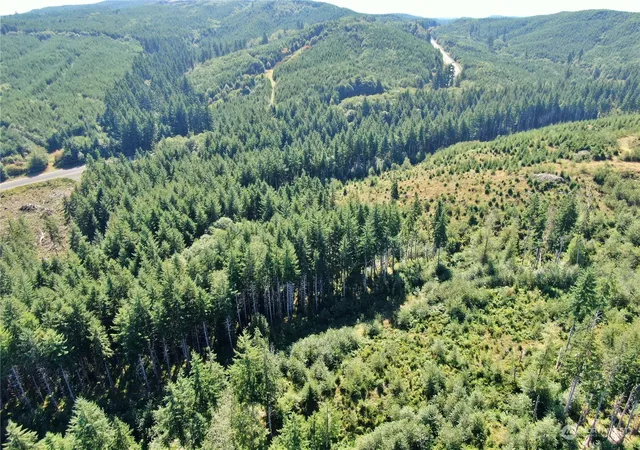 Photo 2 of Land for sale at 0 Off Of Lund Rd, Cosmopolis, WA 98537 | MLS# NWM2284482 | Listing updated on 2026-09-17