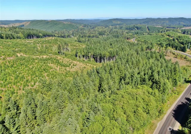 Photo 3 of Land for sale at 0 Off Of Lund Rd, Cosmopolis, WA 98537 | MLS# NWM2284482 | Listing updated on 2026-09-17