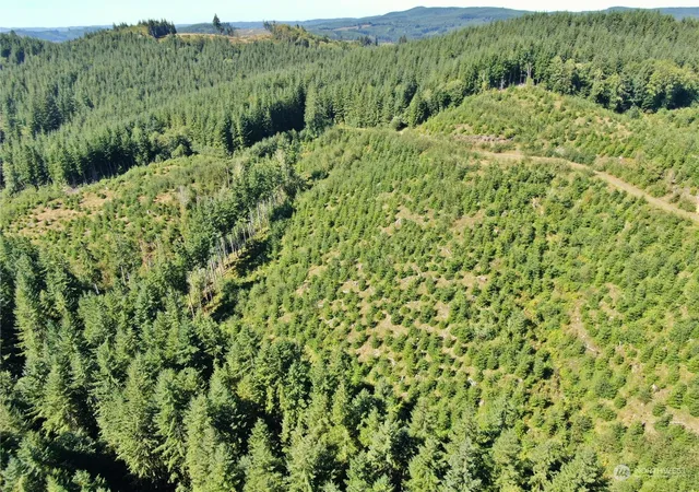 Photo 4 of Land for sale at 0 Off Of Lund Rd, Cosmopolis, WA 98537 | MLS# NWM2284482 | Listing updated on 2026-09-17