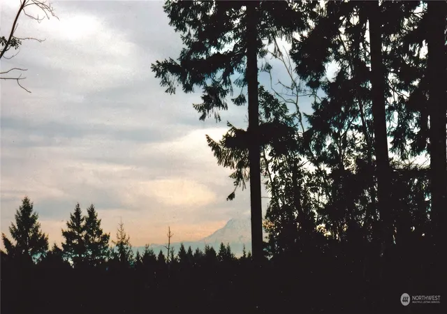 Photo 3 of Land for sale at 1415 208th Avenue Sw, Lakebay, WA 98349 | MLS# NWM2287787 | Listing updated on 2026-09-26