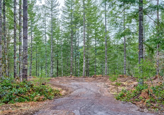 Photo 3 of Land for sale at 2 Lahar Ln, Cougar, WA 98616 | MLS# NWM2290754 | Listing updated on 2026-09-17