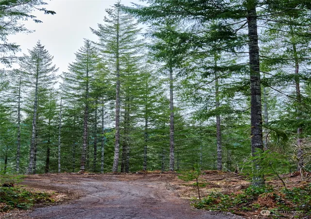 Photo 3 of Land for sale at 2 Lahar Ln, Cougar, WA 98616 | MLS# NWM2290754 | Listing updated on 2026-09-17