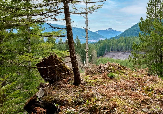 Photo 4 of Land for sale at 2 Lahar Ln, Cougar, WA 98616 | MLS# NWM2290754 | Listing updated on 2026-09-17