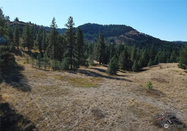 Photo 1 of Land for sale at 68 Jostin Ln, Malo, WA 99150 | MLS# NWM2292238 | Listing updated on 2026-10-12