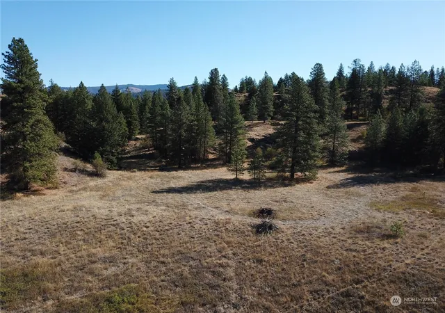 Photo 2 of Land for sale at 68 Jostin Ln, Malo, WA 99150 | MLS# NWM2292238 | Listing updated on 2026-10-12